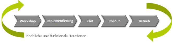 Project Online einführen